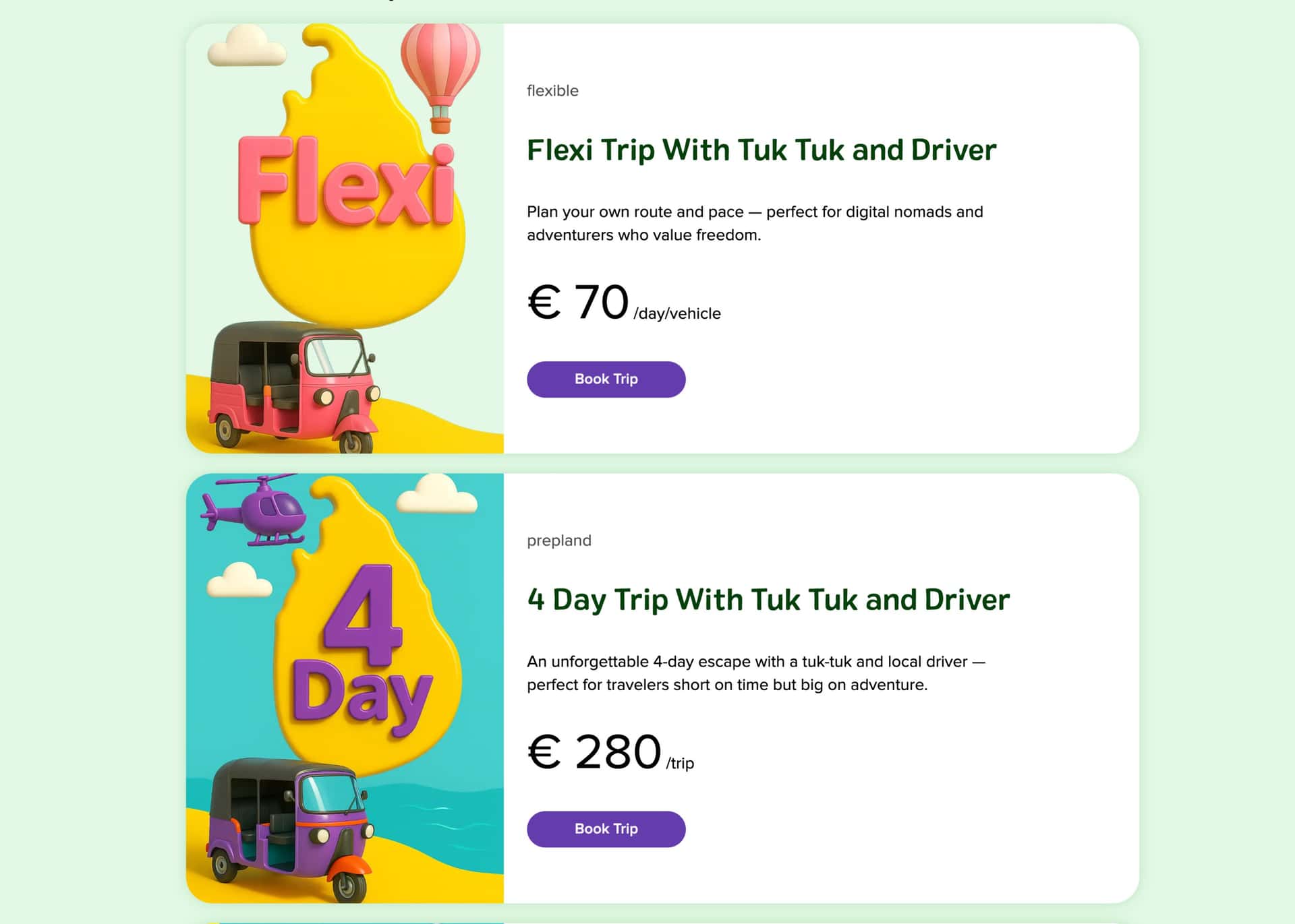 Projeject description